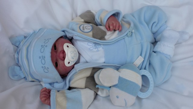 Reborn Baby Lukas